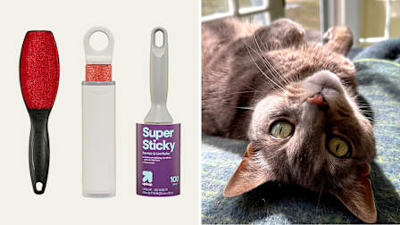 Evercare Magic, OXO, Up & Up lint rollers, cat on a blanket